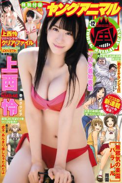 繁花电视剧免费全集在线观看
